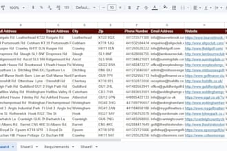 scrape google map, web scraping, b2b data extraction and any website scraper