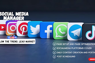 be your social media marketing manager monthly social media management