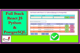 do custom full stack web development with python django