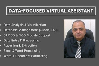 be your data focused virtual assistant