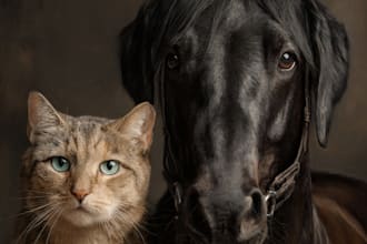 do realistic digital pet portrait dog, cat, horse