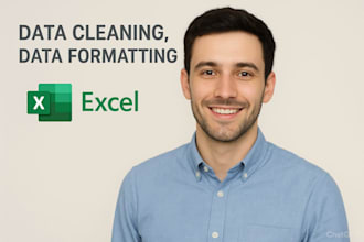 do  ms excel data cleaning and data vizualization