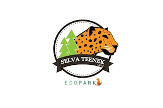 create professional modern nice logo for an eco park