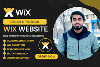 design a professional wix website