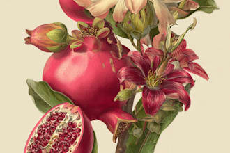 draw botanical illustration art for you