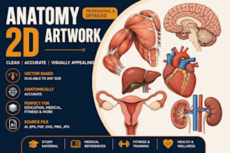medical anatomy illustration and diagram design for medical book use
