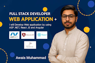 develop dot net core and angular applications