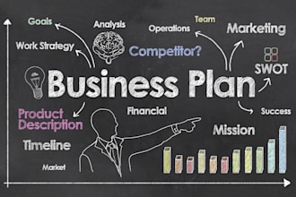 do a professional business plan with financials and strategy