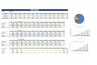 crearé un modelo financiero en excel con presupuesto, balance, y ratios