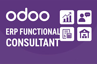 be your odoo functional consultant