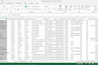 data entry excel, data cleaning
