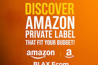 launch and optimize your amazon private label listing with PPC strategy