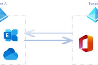 microsoft 365 tenant to tenant migration