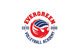 design best quality volleyball club logo
