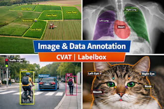 annotate images with bounding box, segmentation masks and polygon