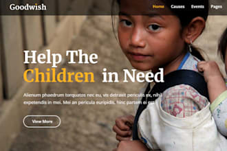 wix wordpress nonprofit website charity ngo website fundraising donation website
