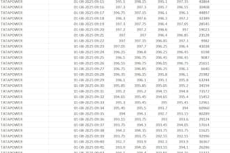 provide any nse historical stock data on 1 minute timeframe