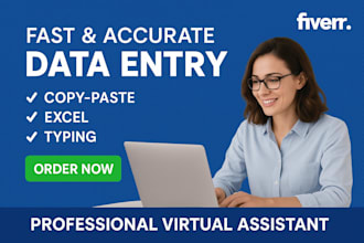 reliable virtual assistant for data entry and excel tasks