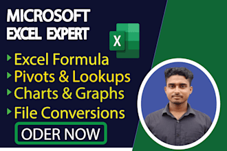 do excel data entry and dashboard expert