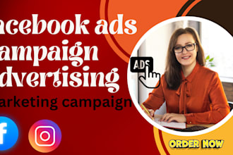 fix, audit, review, setup, manage facebook meta advertising marketing campaign