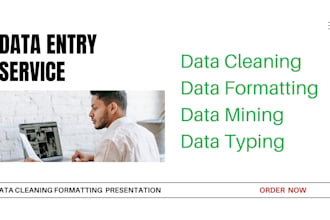 do data cleaning, formatting, and standardization