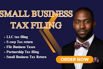 prepare and file small business tax returns, llc, s corp or partnership