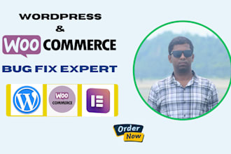 fix wordpress woocommerce or elementor issues