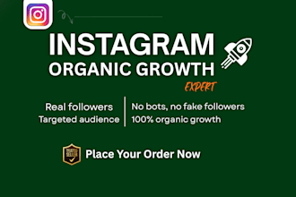 do instagram organic growth and promotion
