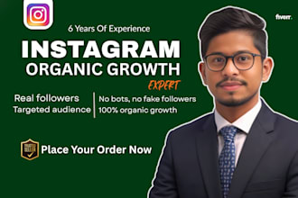 do instagram organic growth and promotion