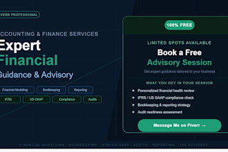 do professional accounting, bookkeeping, financial modelling