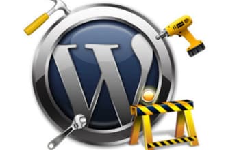 fix wordpress issue, bug, error and customize wp theme
