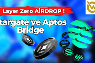 develop cross bridge, block explorer and fork layerzero wormhole