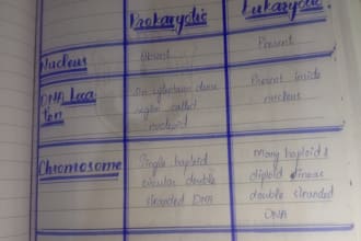 make your assignment stand out with neat handwritting