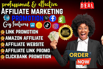 promote your affiliate link for real traffic and high converting sales