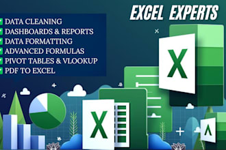 clean, format ,merge ,split excel data