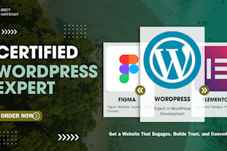 design or redesign a wordpress website that converts