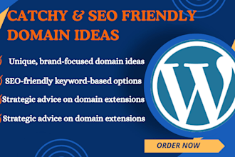 suggest perfect SEO domain names for shopify wordpress  blogs