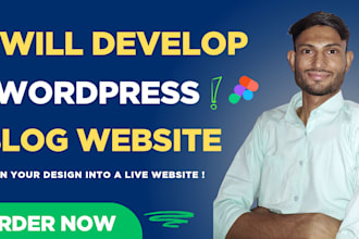 develop wordpress blog websites professionally