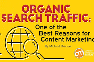 do website promotion and marketing with organic traffic