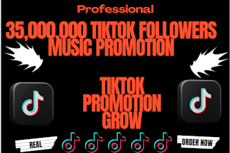 manage to grow and promote your songs to 35m real and organic tik tok followers
