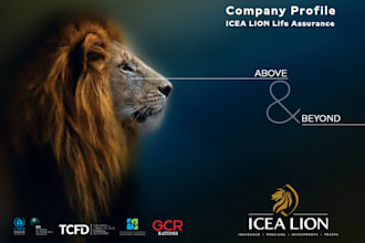 design brochure, company profile, annual reports, and flyers