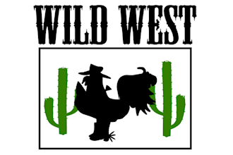 design exceptional good looking logo for wild west wings