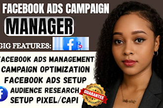 setup and manage meta ads marketing campaigns meta ads manager and facebook ads