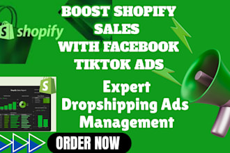 boost shopify dropshipping sales facebook tiktok ads marketing