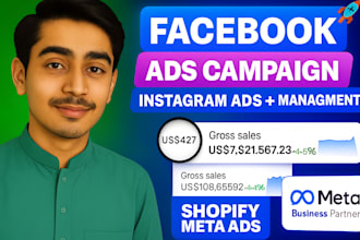 professional facebook ads campaign