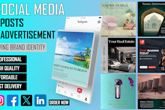 design professional social media posts and advertisements