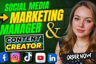 be social media marketing manager facebook ads tiktok post instagram marketing