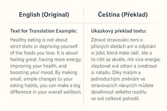 translate english to czech or czech to english