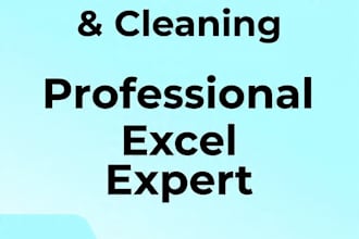 provide accurate excel data entry services
