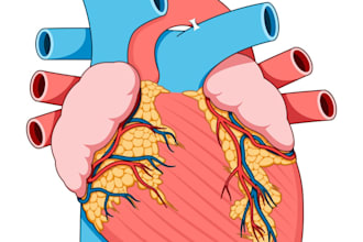 create highly customized human anatomy, medical illustrations